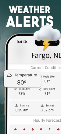windygo app wind compass